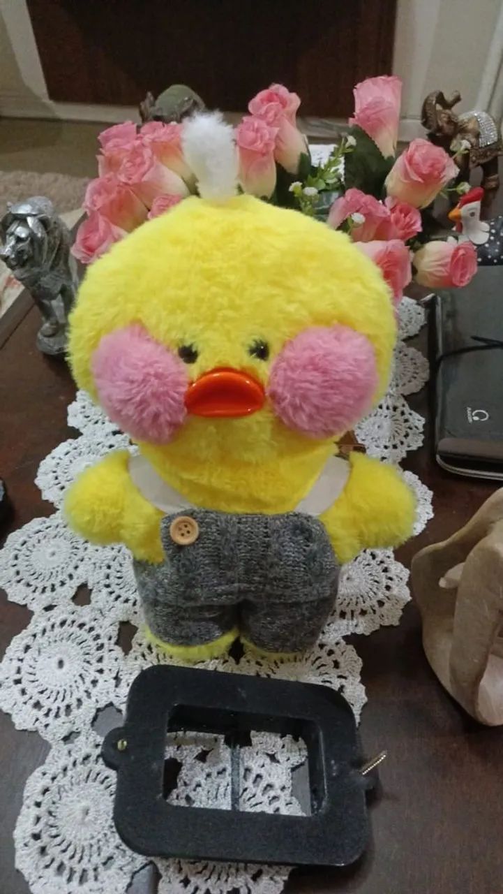 Pato do Paper Duck