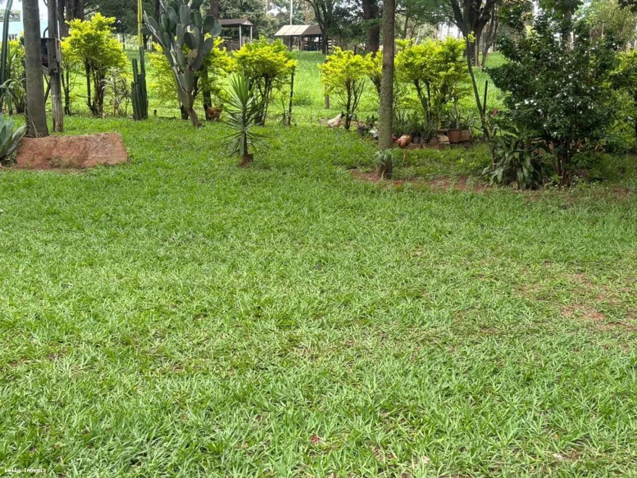 Chácara para Venda em Martinópolis / SP no bairro Rural - Foto 5