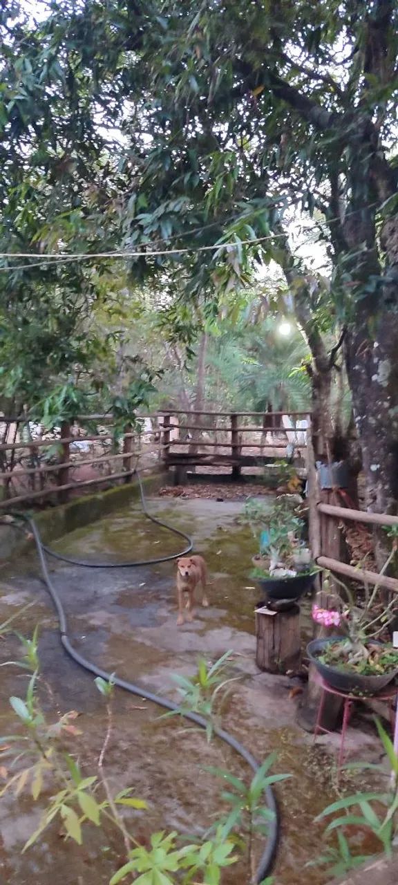 Chácara em Aragoiania  - Foto 5