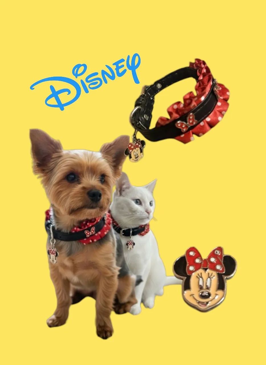 COLEIRA PET DA MINNIE - DISNEY ORIGINAL - IMPORTADA 