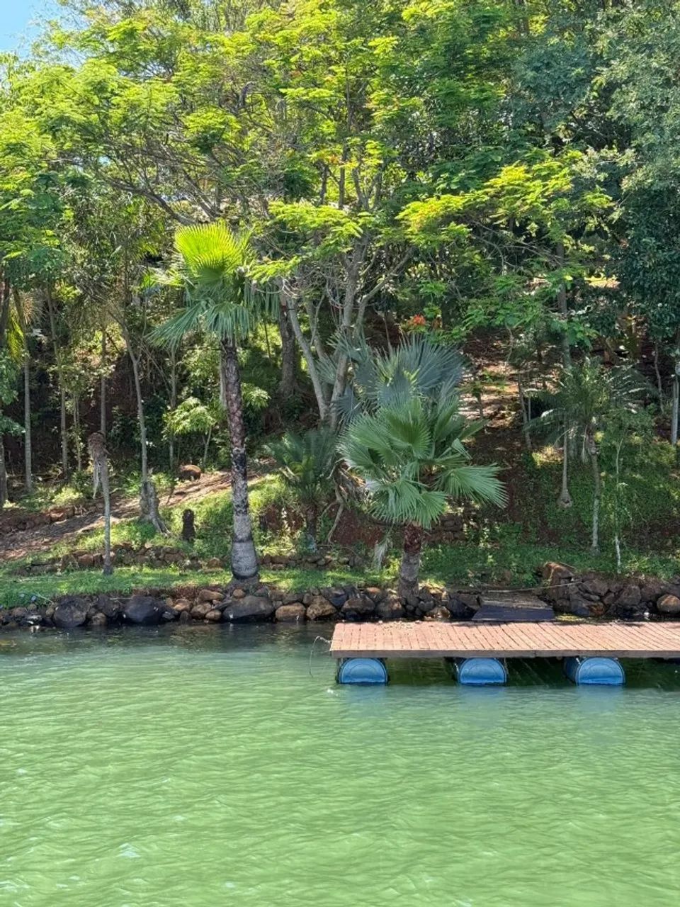 TERRENO COM CASA - Foto 4