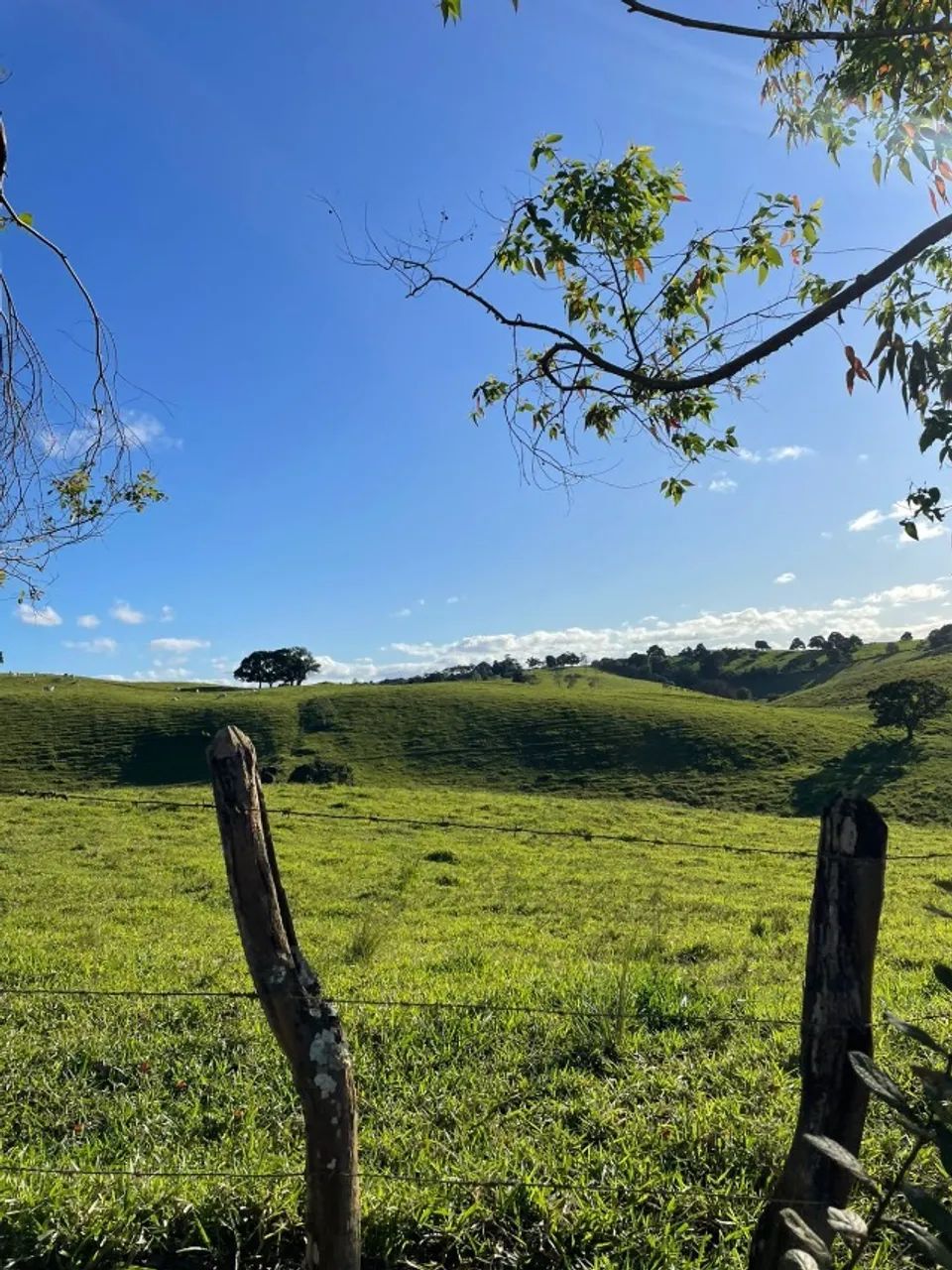Fazenda em Bonito/PE à Venda (FA0165-PV) - Foto 5
