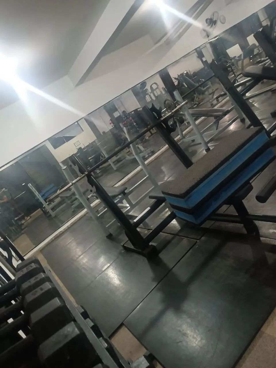 Academia 