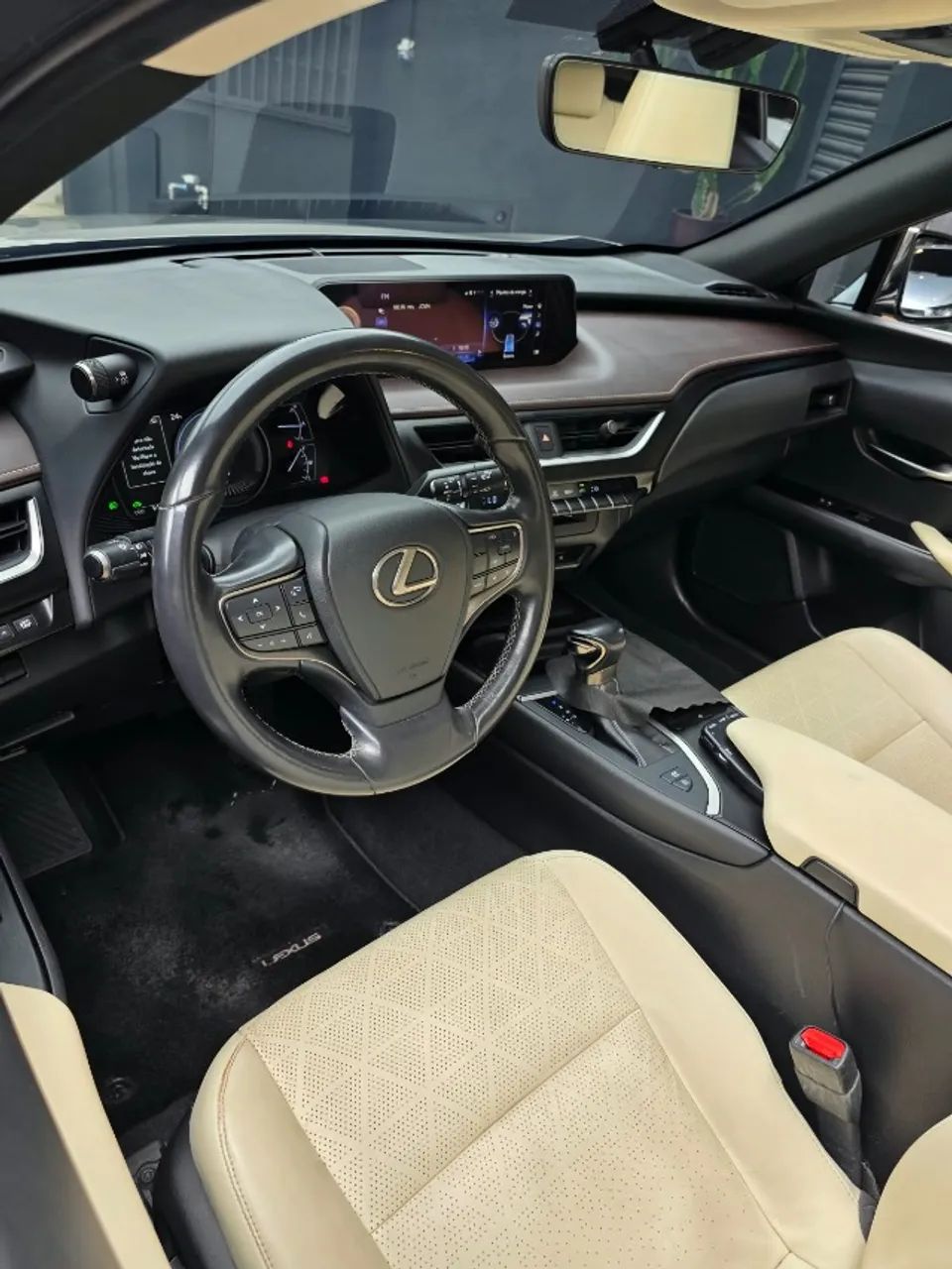Lexus UX-250h Luxury 2.0 16V Aut.(hybrid), foto 15 de 19