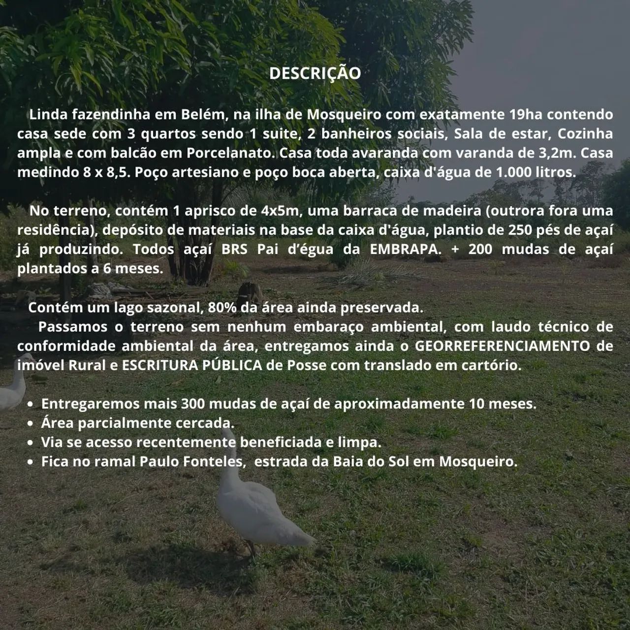 Fazendinha em Mosqueiro. - Foto 2