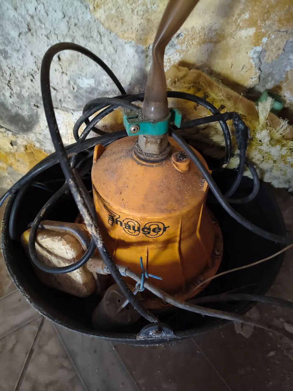 Bomba sapo 