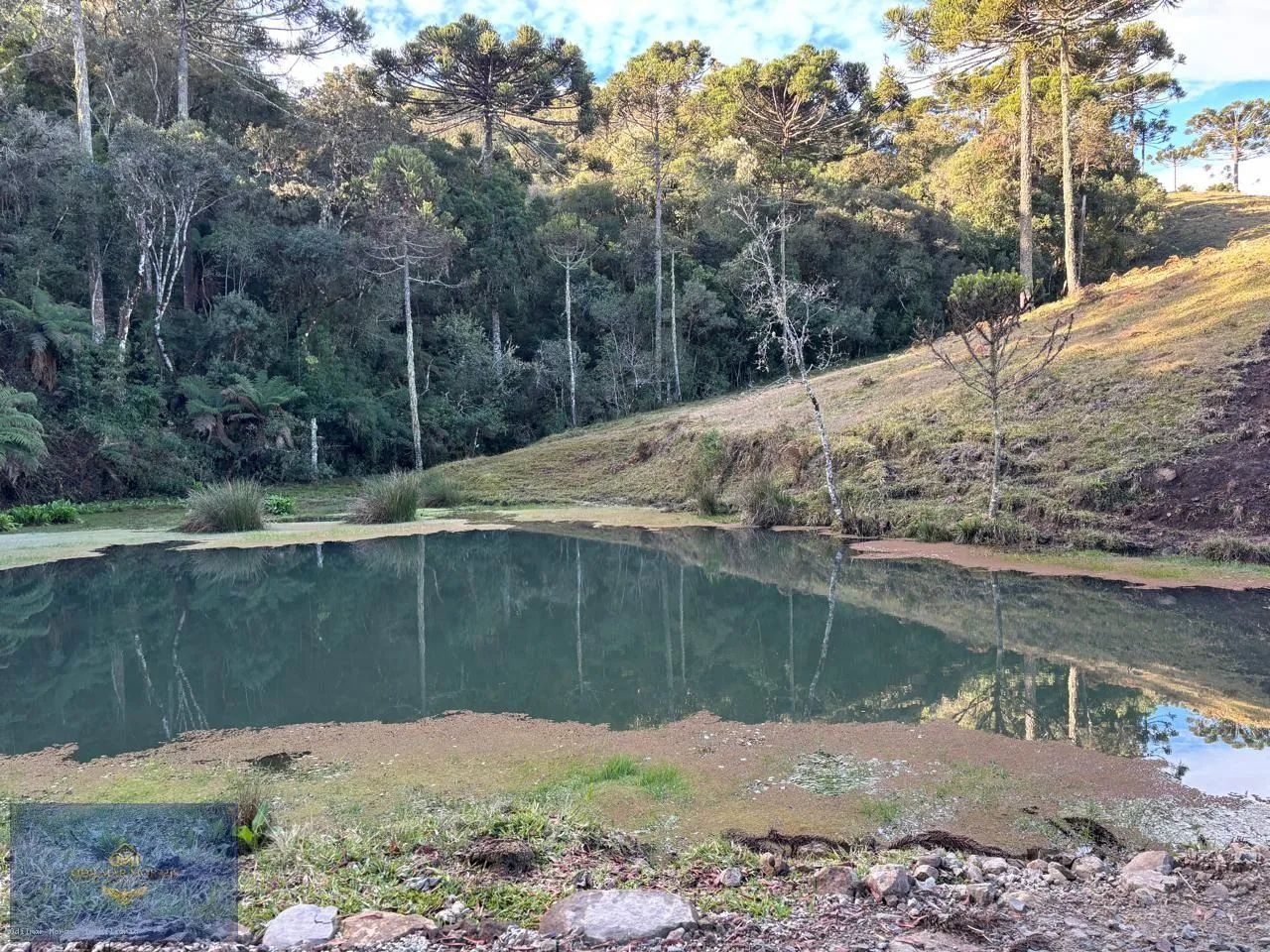 Área Rural para Venda em Urubici, Panelão - Foto 5