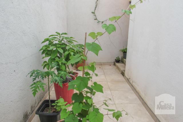 Casa à venda com 3 dormitórios em Caiçaras, Belo horizonte cod:221295 - Foto 10