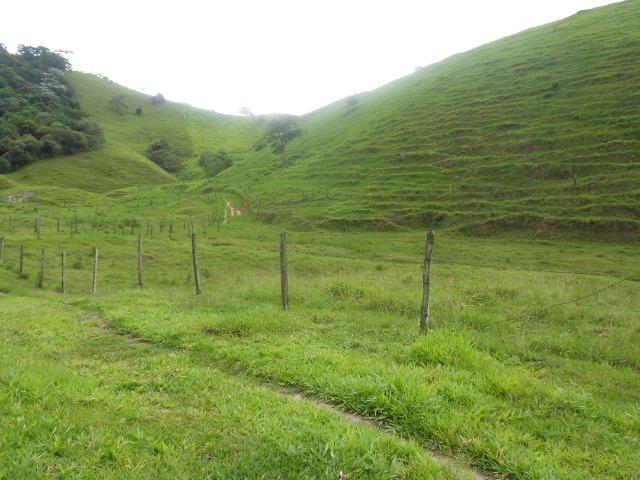 Jordão corretores - Fazenda 22 alqueires Cachoeiras de Macacu porteira fechada - Foto 9