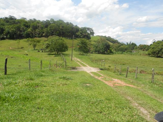 Jordão corretores - Fazenda 22 alqueires Cachoeiras de Macacu porteira fechada - Foto 4
