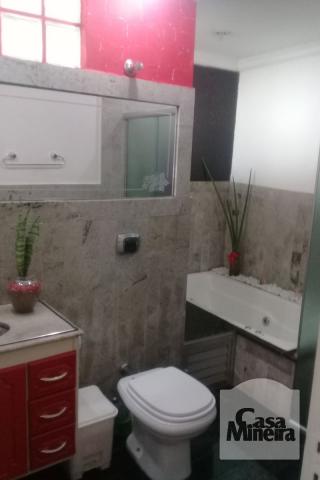 Casa à venda com 3 dormitórios em Alto caiçaras, Belo horizonte cod:214233 - Foto 8