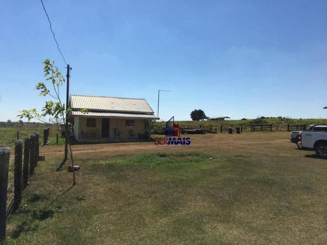 Fazenda na beira da BR 364 próximo à Cacoal - Foto 9