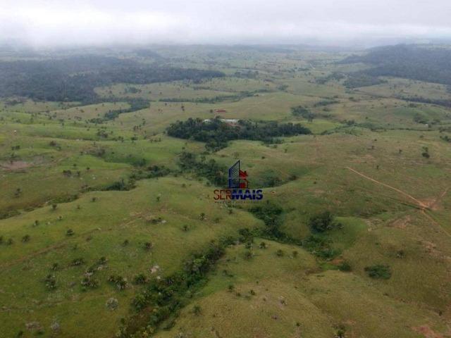 Belissima Fazenda Rural Espigão do oeste/RO - Foto 11