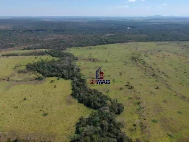 Fazenda na beira da BR 364 próximo à Cacoal - Foto 18
