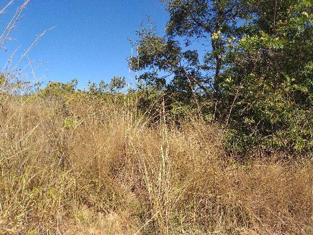 Wilson Vende | Lote Quitado | Condomínio Quatro Estações - Foto 7
