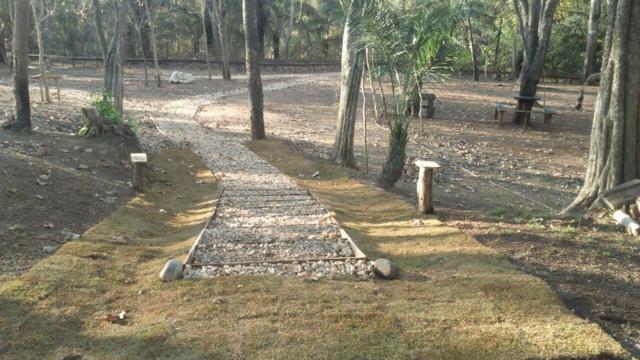 Vendo Terrenos de 200 mts atras do Belvedere (agende sua visita) - Foto 6