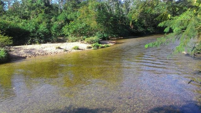 Vendo Terrenos de 200 mts atras do Belvedere (agende sua visita) - Foto 19