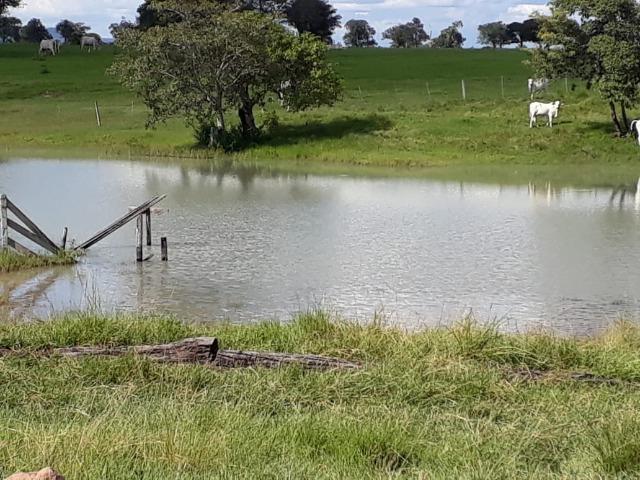 Fazenda Terra de cultura Há 10 km de Arenapolis Mato Grasso