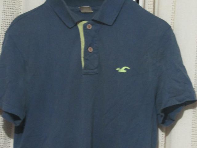 polo hollister original