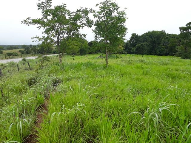 Chácara - Foto 2