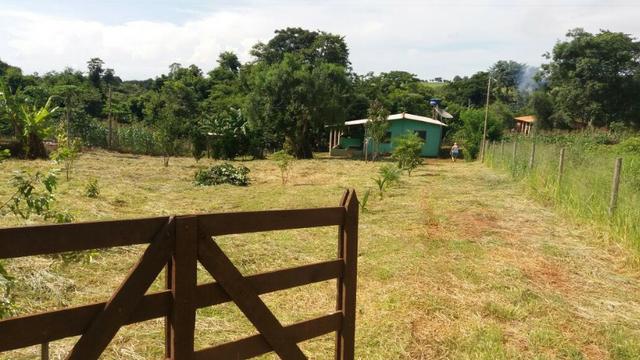 Chácara casa de campo, lazer e pescaria. 5.000m2, beira do rio Turvo (Turvania) - Foto 2