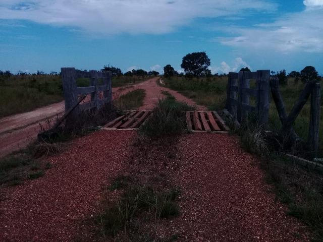 Fazenda de 840 alqs. dupla aptidão Proxima de Dois Irmãos - Foto 10