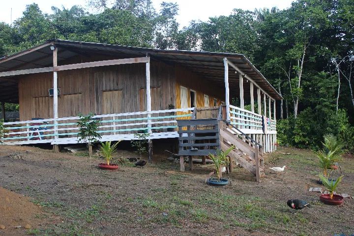 VENDO OU TROCO SÍTIO PERTO DE ITACOATIARA 130 TROCA ou VENDA - Foto 9