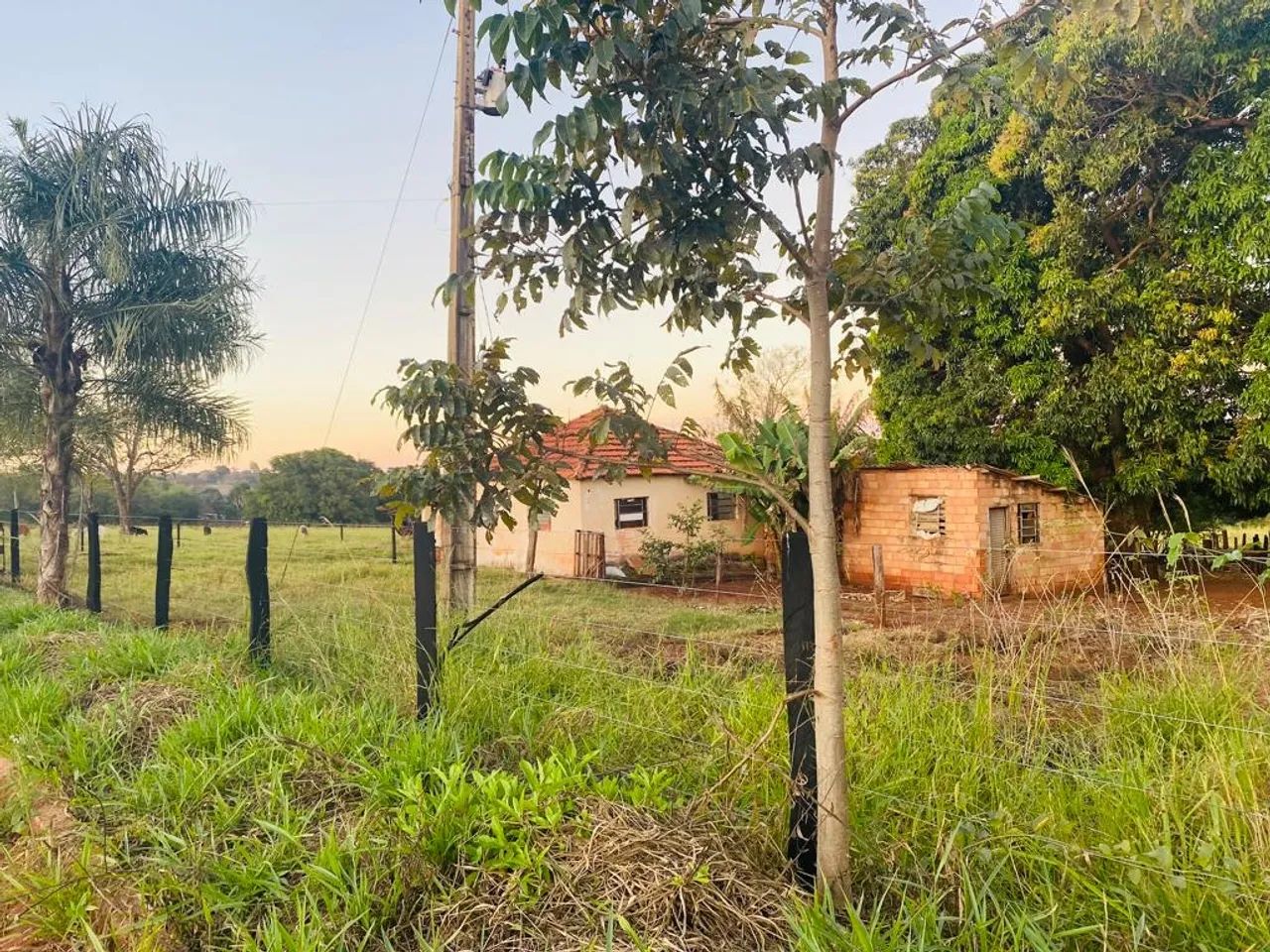 foto - Uberlândia - Jardim Europa