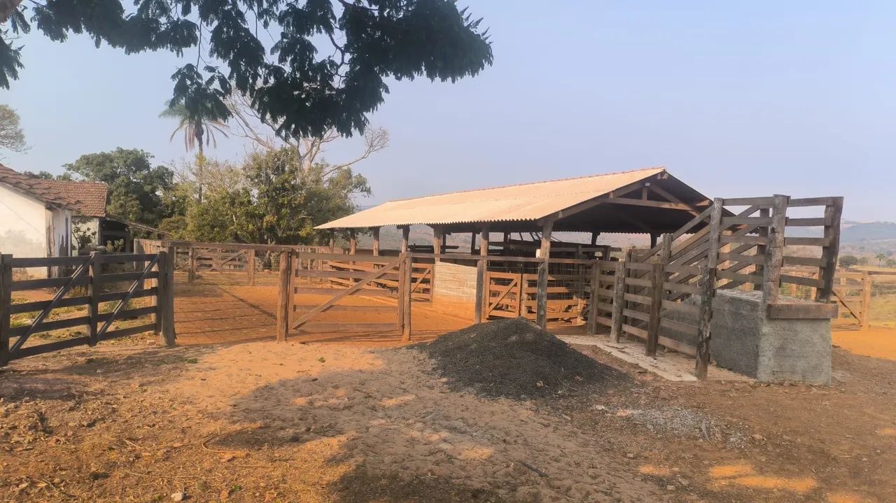 FAZENDA PRA PECUÁRIA EM ROMARIA  - Foto 2