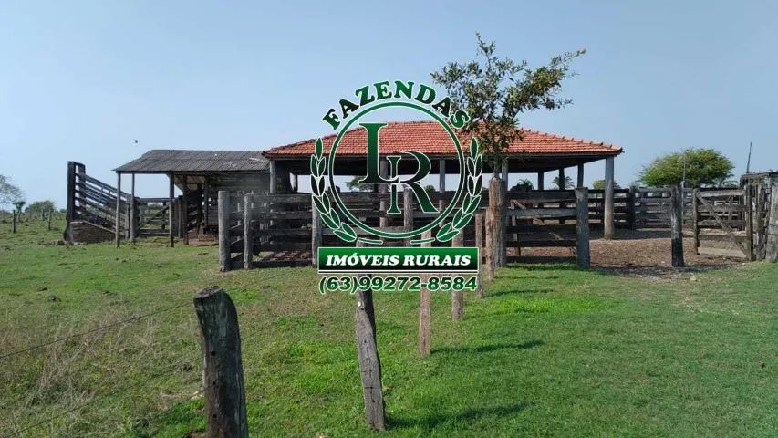 Fazenda 205 Alqueires |Beira Rio Araguaia - Foto 3
