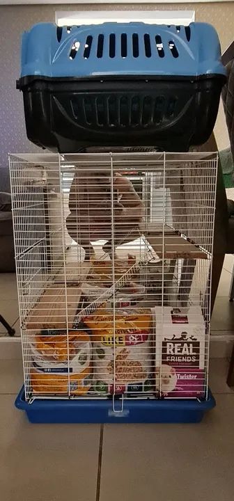 Kit com gaiola para roedores