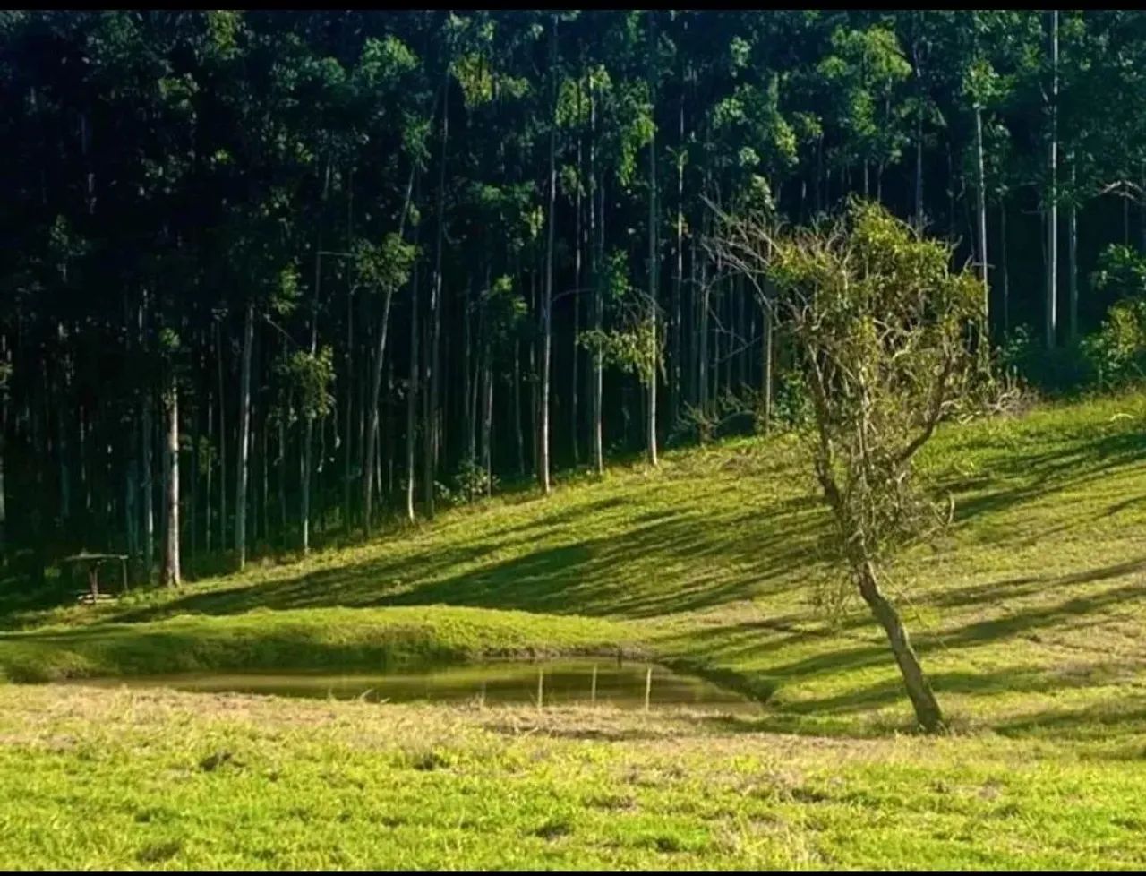 "Realize seu sonho de construir: terrenos em Alumínio à venda!"
