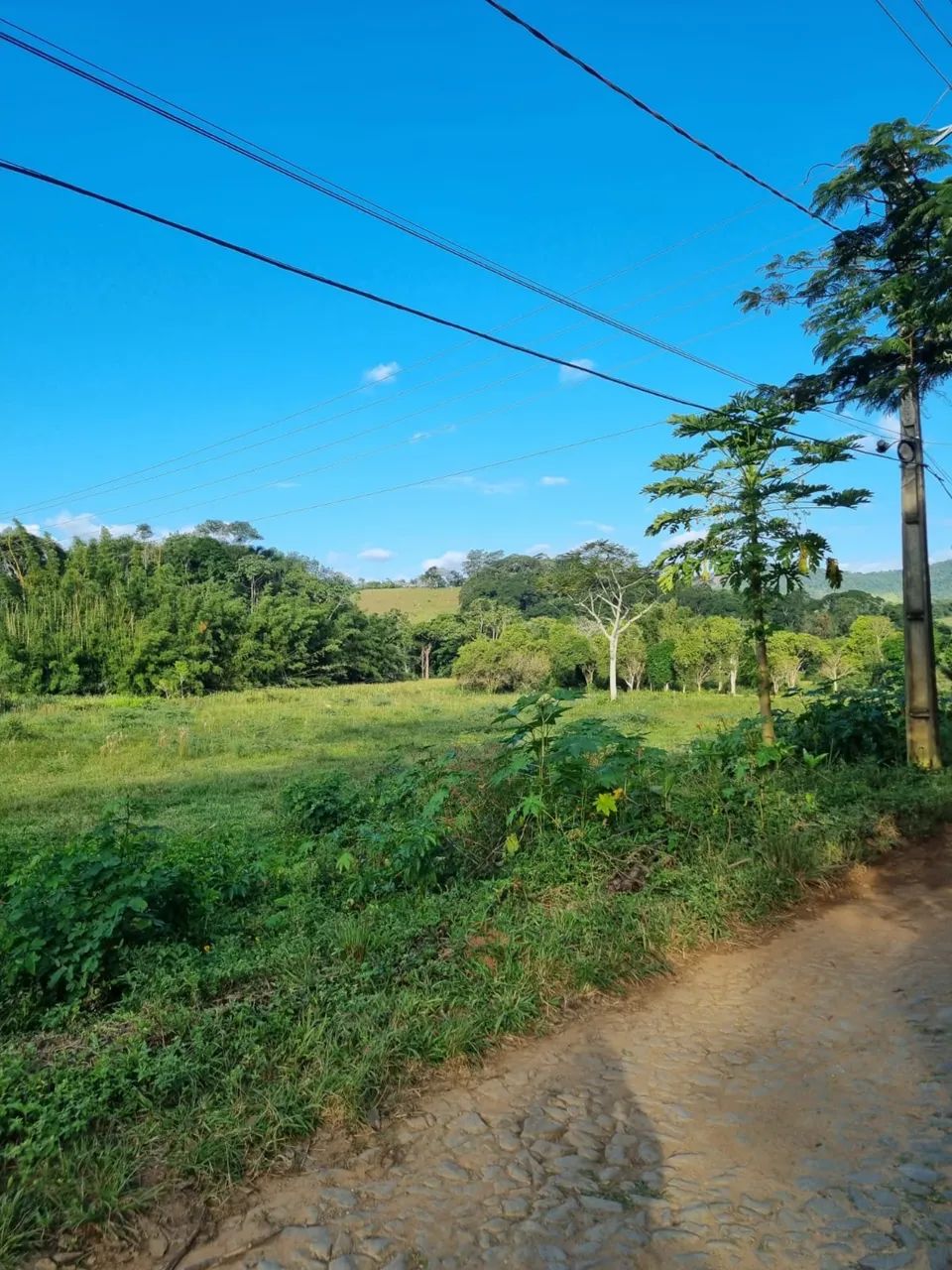 Terreno/Granja Matias Barbosa  - Foto 2