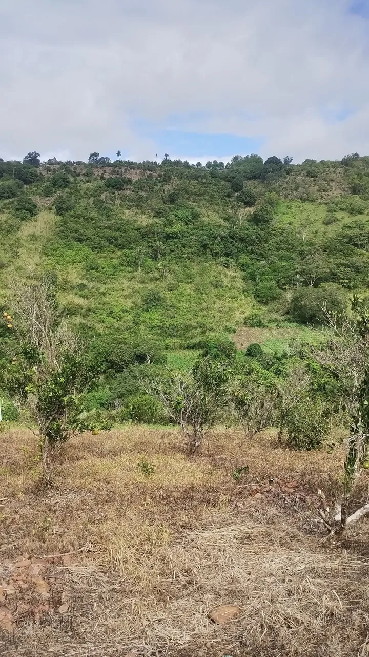 Sítio em Matinhas com Registro e escritura