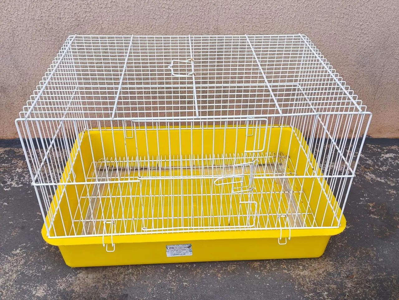 Hamster anão russo Fêmea  - Foto 5