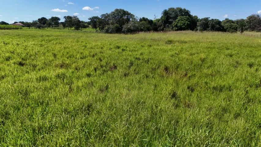 Excelente Chácara de 5.5 Hectares em Jaraguari-MS!  - Foto 3
