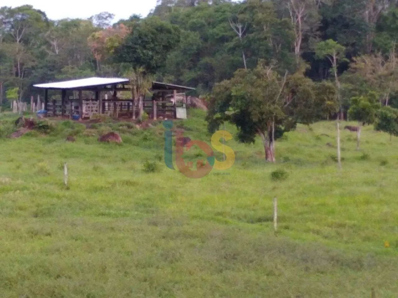 FAZENDA CONJUNTO STA. EULÁLIA - Foto 3