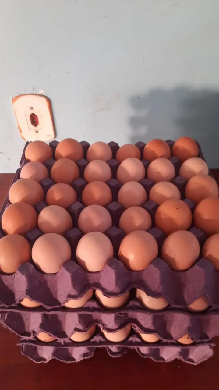 Ovos frescos caipira - Bandeja com 30 unidades