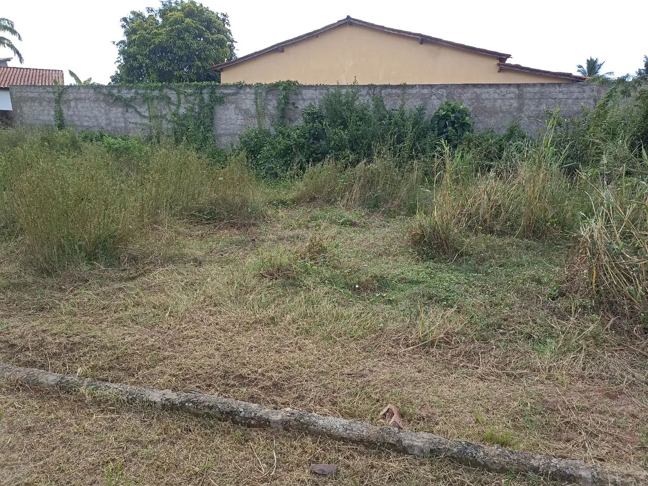 Lote 450 m² - Foto 2