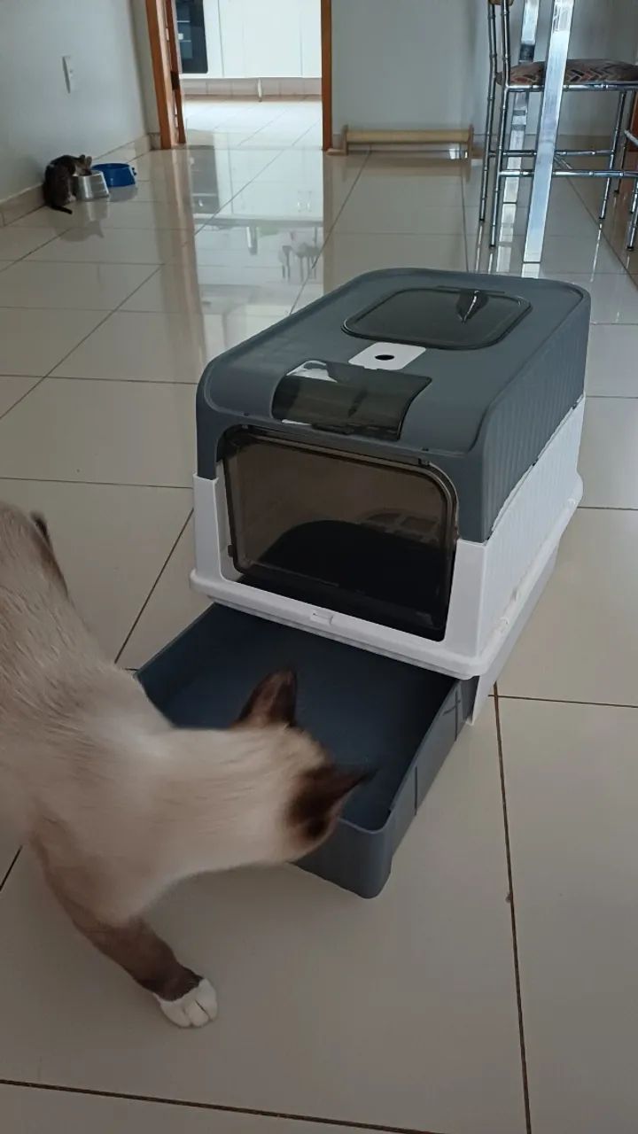 Caixa de areia para gatos - Foto 6