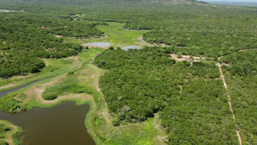 3 excelentes propriedades no Sertão da PB. - Foto 2