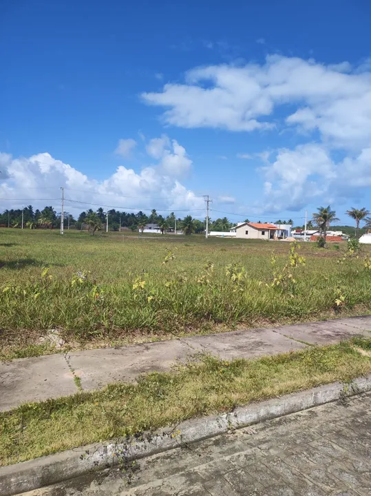 Terreno plano no abais