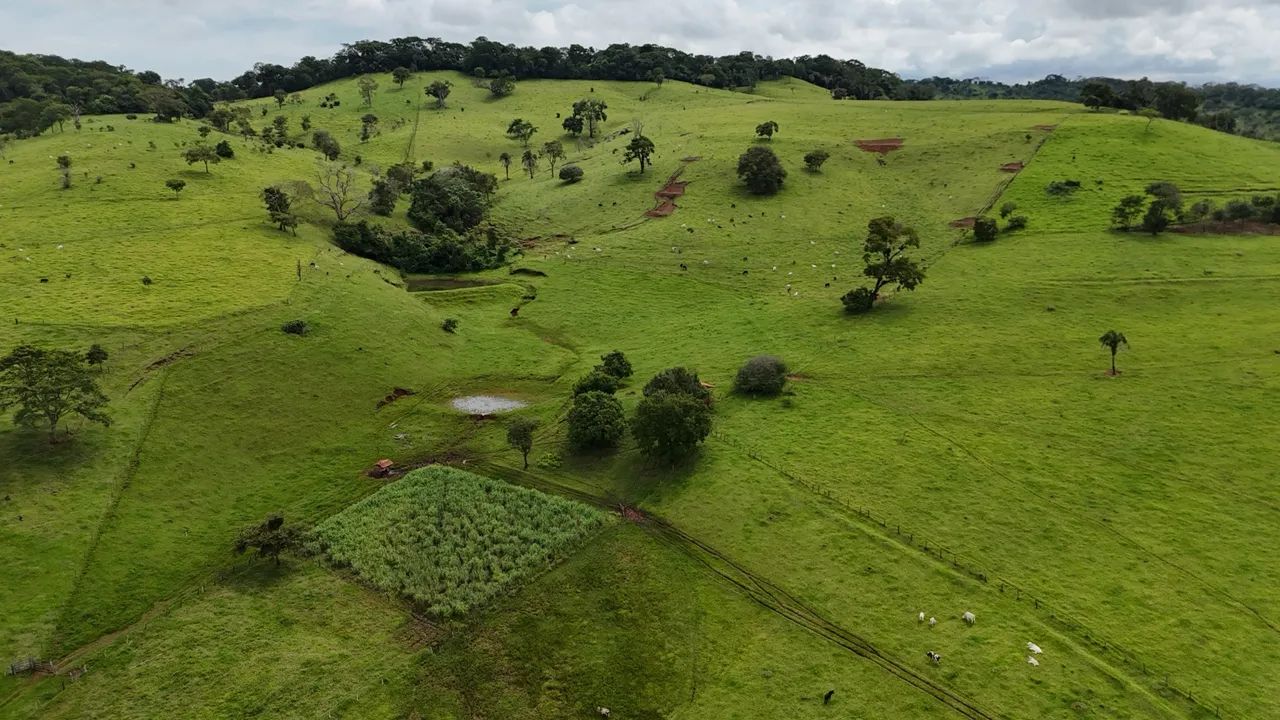 Fazenda (Nerópolis-go) 20.57 alqueires  - Foto 4
