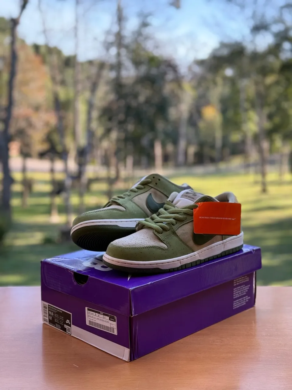 Nike SB Dunk Low X Yuto Mocha