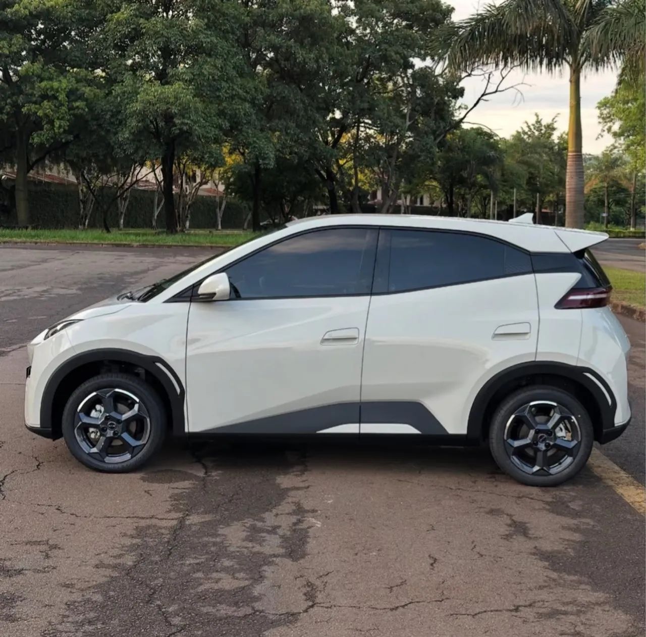 BYD DOLPHIN MINI  - Foto 3