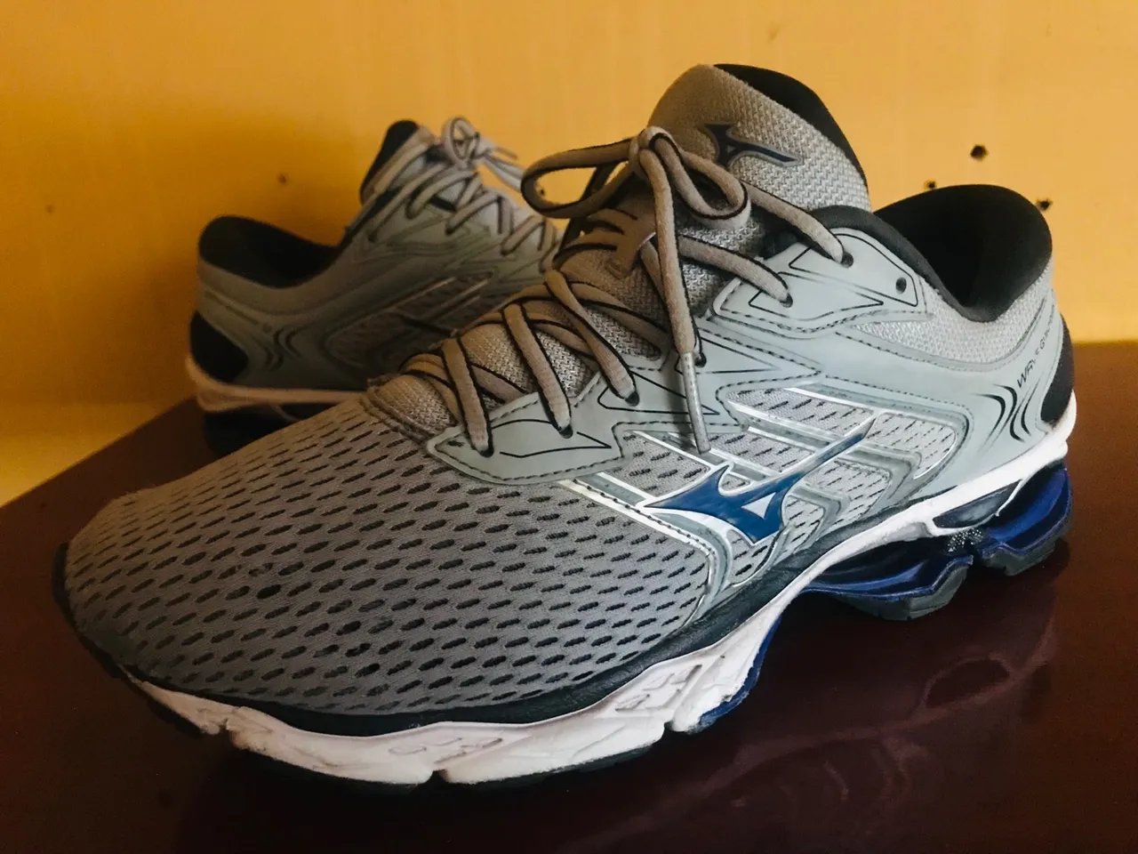 Tênis Mizuno Wave 43