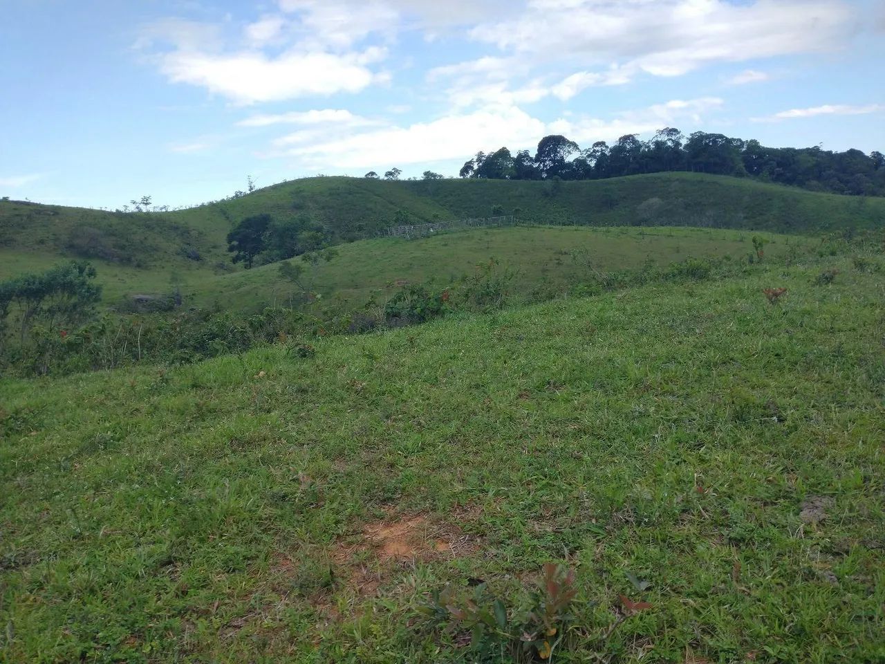 Fazendinha 15 Alqueires Cariacica  - Foto 12