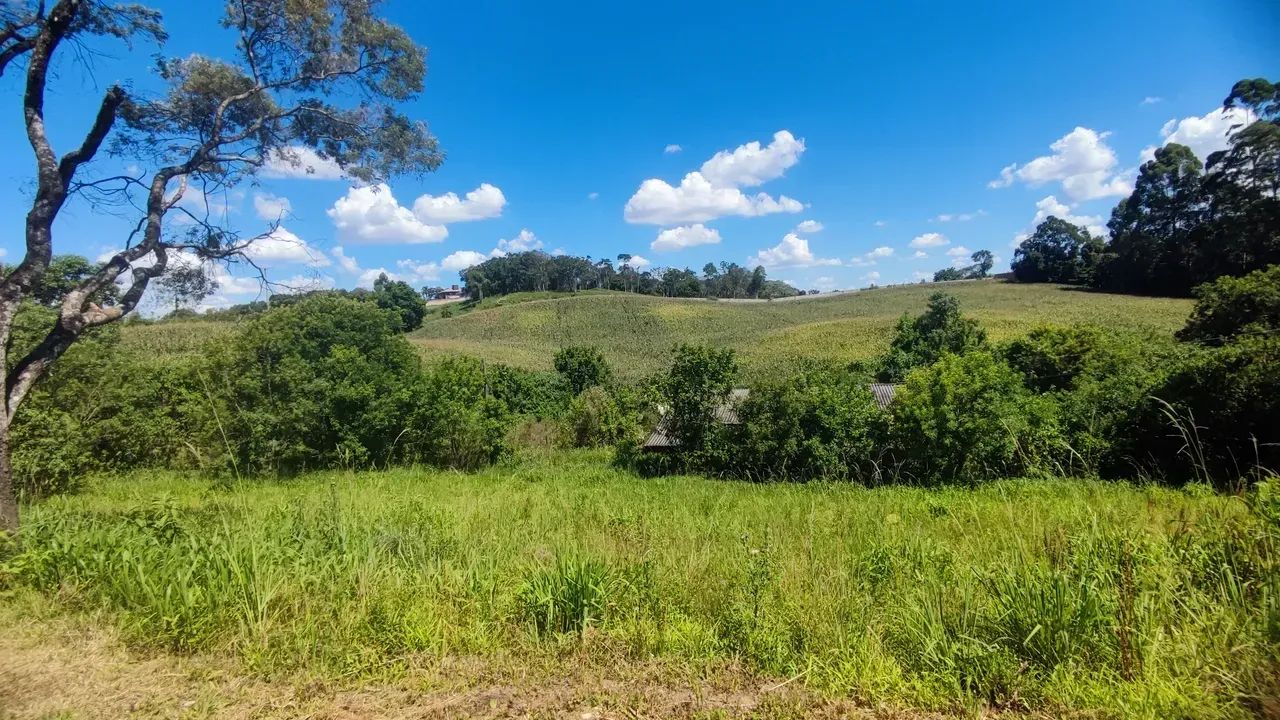 GALPÃO PARA ALUGAR - CAMPO MAGRO/PR - Foto 5