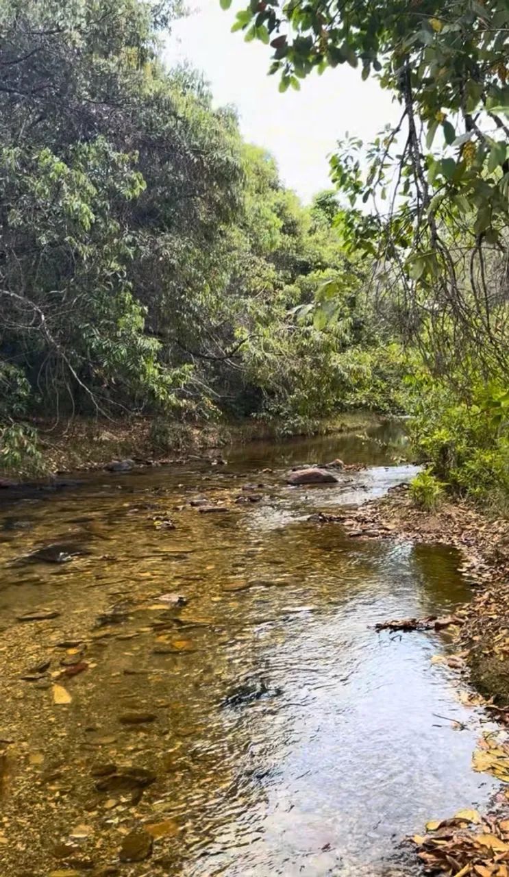 Chácara com Rio Ribeirão e cachoeira  - Foto 3