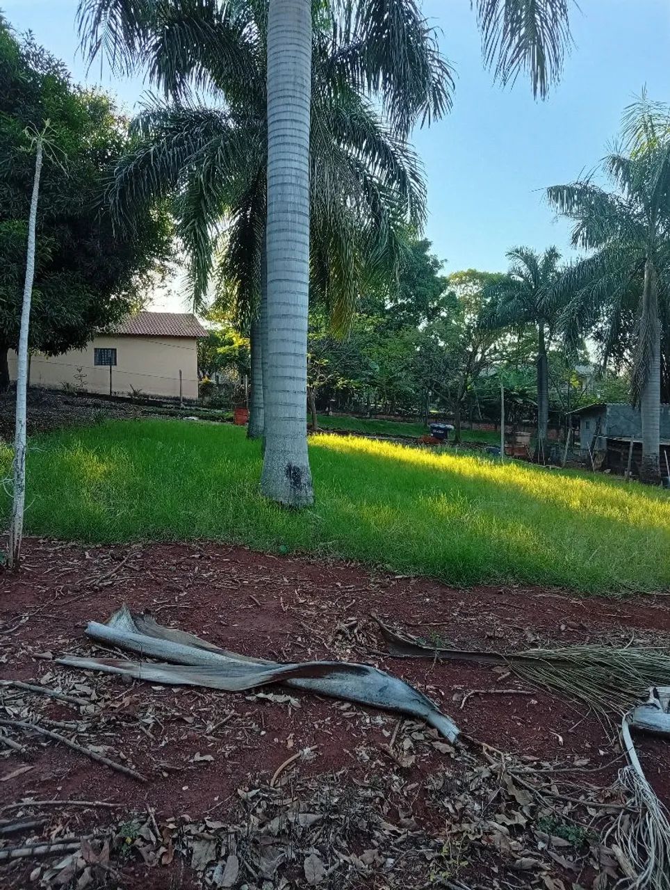 Chácara na beira da represa capivara  - Foto 4